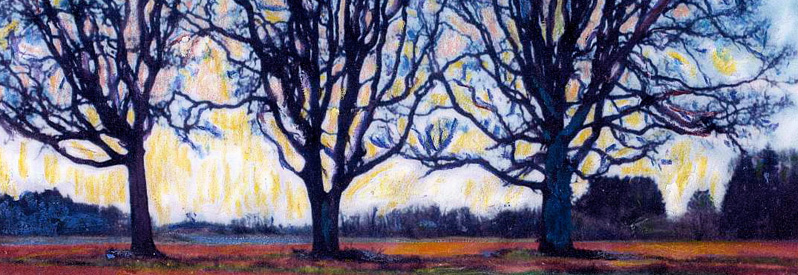 Elizabeth Murray's Gallery of Work