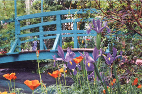 Monet's garden bridge